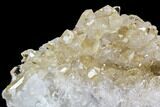 Quartz Crystal Cluster - Brazil #81011-7